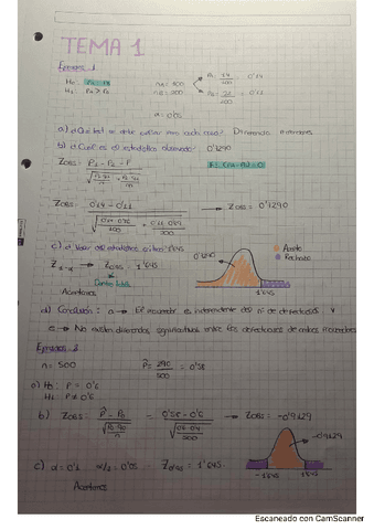ejercicios-tema-1.pdf