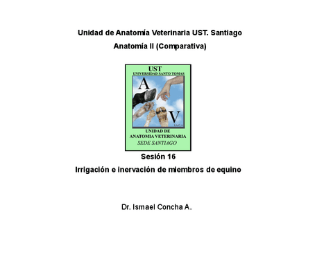 016-2012-AV2-Mb-IrrigInerv-Eq.pdf