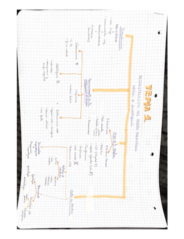 Tema-1.-RECONSTRUCCiON-DEL-PASADO-PREHiSTORICO.-METODOS-INVESTiGACiON.pdf