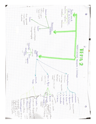 Tema-2.-MODIFICACIONES-BIOLOGICAS-Y-CULTURALES.pdf