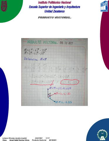 Lobaco-Jacobo-1CV17-Producto-Cruz-Vectorial.pdf