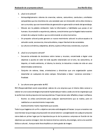 RESUMEN-PROYECTO-CULTURAL.pdf