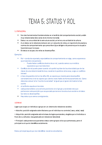 status-y-rol.pdf