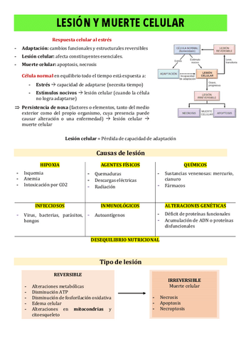 Copy-of-1-Lesion-y-muerte-celular.pdf