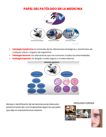 Copy-of-3-PAPEL-DEL-PATOLOGO-EN-LA-MEDICINA.pdf