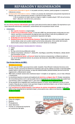 Copy-of-5-REPARACION-Y-REGENERACION.pdf