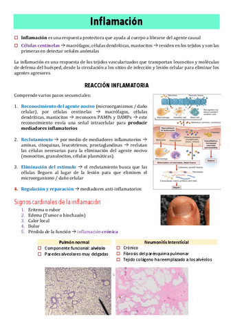 Copy-of-6-Inflamacion-I-y-II.pdf