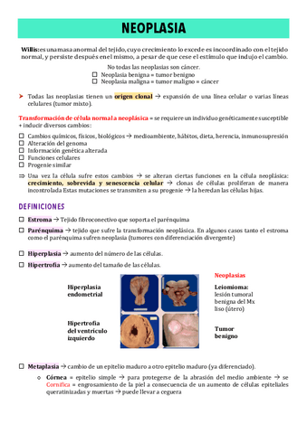 Copy-of-2-Neoplasia-I.pdf