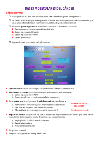 Copy-of-3-BASES-MOLECULARES-DEL-CANCER.pdf