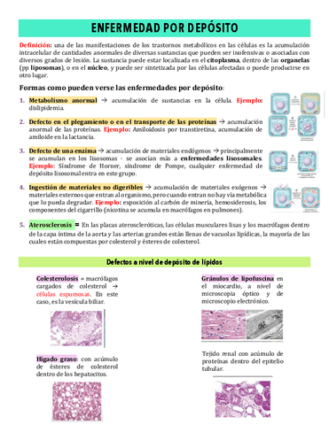 Copy-of-6-ENFERMEDAD-POR-DEPOSITO.pdf