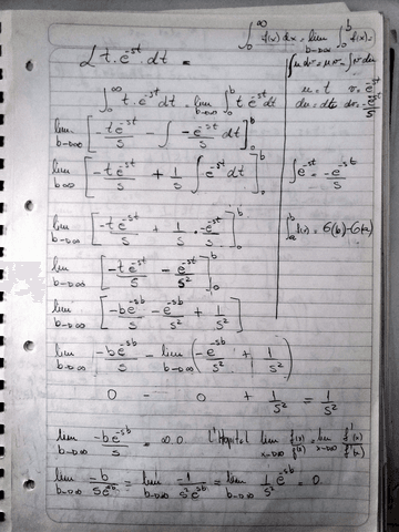 ejempLaplace1.pdf