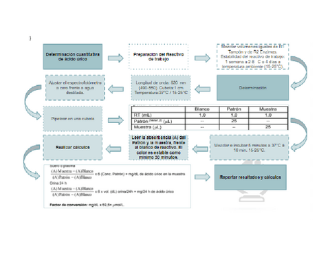 Determinacion-cuantitativa-acido-urico.pdf