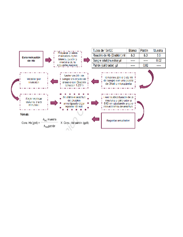 Determinacion-Hb.pdf