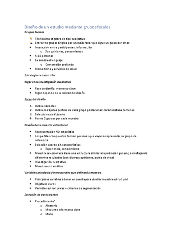 L4-Grupos-focales-Resumen.pdf