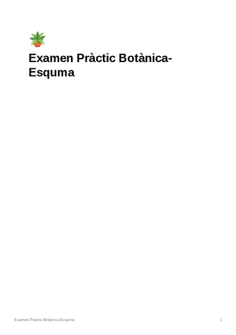 ESQUEMAExamen-Practic-Botanica.pdf