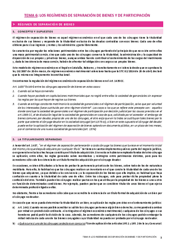 TEMA-6-CIVIL.pdf