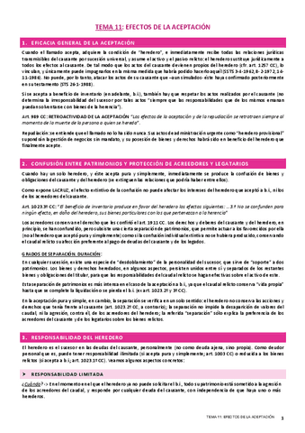 TEMA-11-CIVIL.pdf