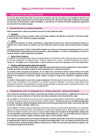 TEMA-13-CIVIL.pdf