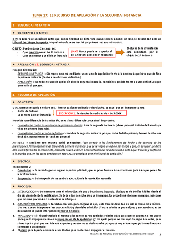 TEMA-17-PROCESAL.pdf