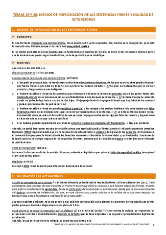 TEMA-19-y-20-PROCESAL.pdf