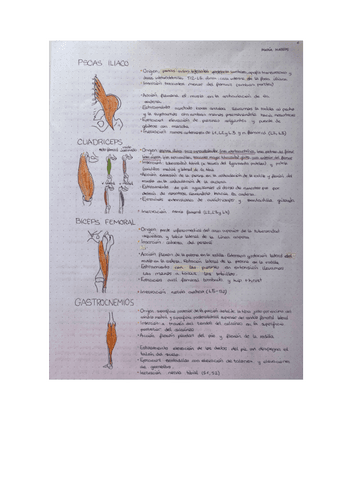 cuaderno-anatomia-5.pdf