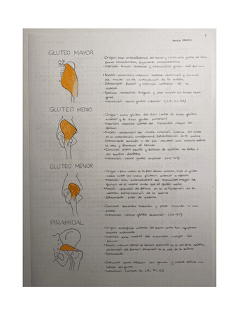cuaderno-anatomia-4.pdf