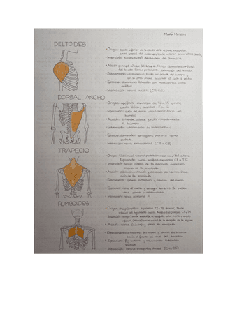 cuaderno-anatomia-1.pdf