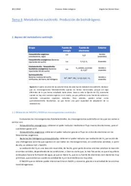4. Producción de biohidrógeno.pdf