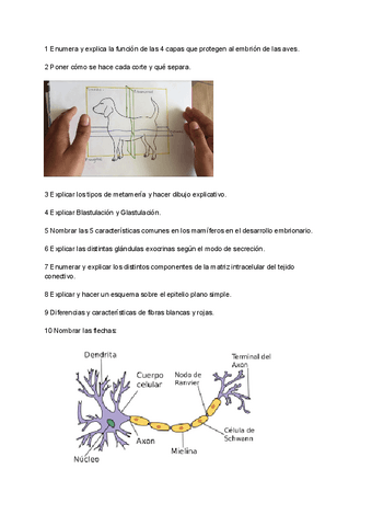Examen-Ordinaria-Biologia-Animal-2023.pdf