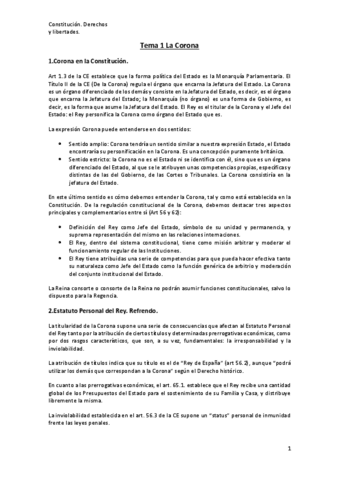 parcial-constitucional-villalba.pdf