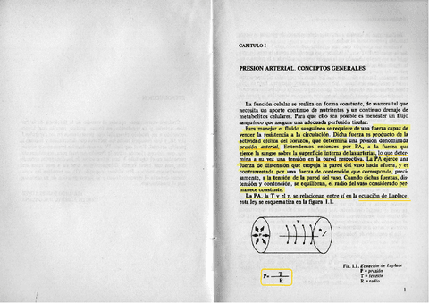 Lopez-Magdalena-Cap-1.pdf