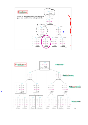 ESQUEMAS-BIOQUIMICA-ESTRUCTURAL.pdf