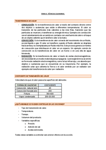 TEMA-3-PARTE-1-INMERSION.pdf