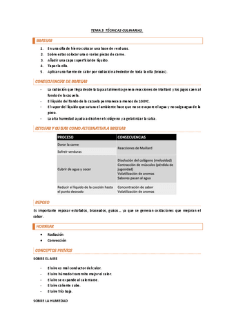 TEMA-3-PARTE-2-INMERSION.pdf
