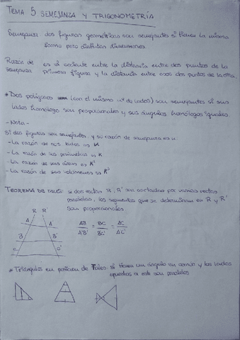 U.5-Semejanza-y-Trigonometria.pdf