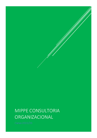MIPPE-CONSULTORIA-ORGANIZACIONAL.pdf