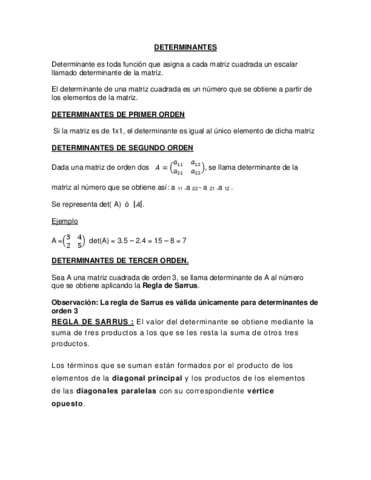 APUNTE-DETERMINANTE-Y-MATRIZ-INVERSA.pdf