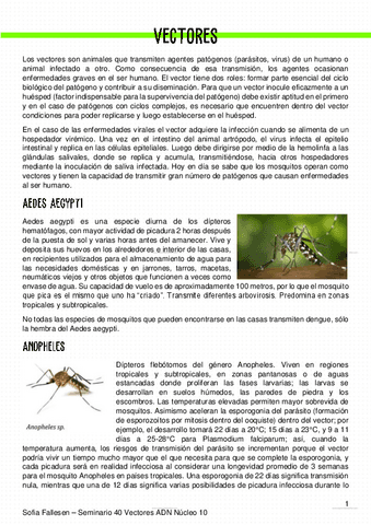 40.-Vectores.pdf