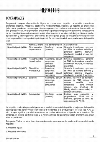 Hepatitis-Resumen.pdf
