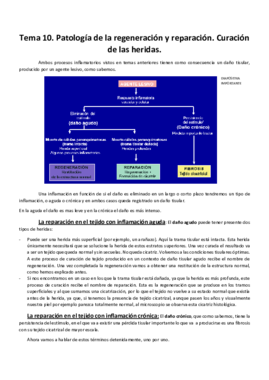 Tema 10. APatológica.pdf