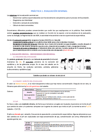 PRACTICAS-COMPLETO.pdf