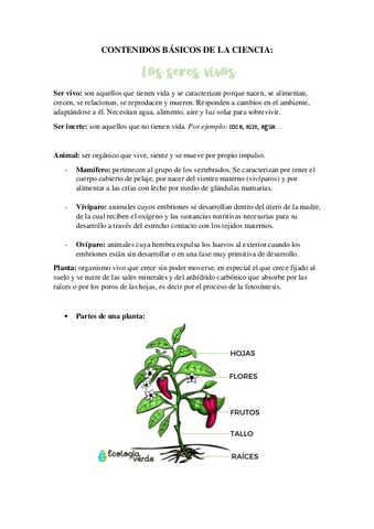 Teoria-Seres-Vivos.pdf