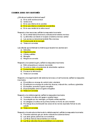 Preguntas-examen.pdf