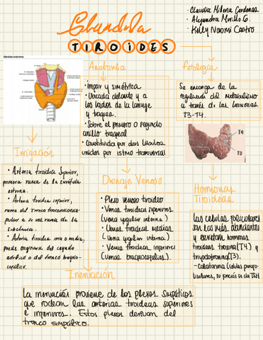 Anatomia.pdf