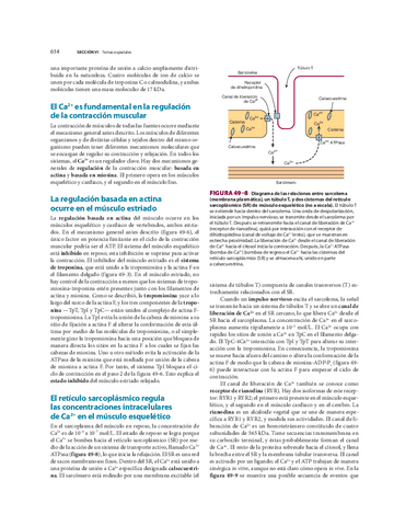 biomed-88.pdf