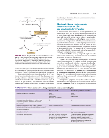 biomed-89.pdf