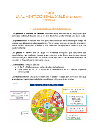 T.3-LA-ALIMENTACION-SALUDABLE.pdf