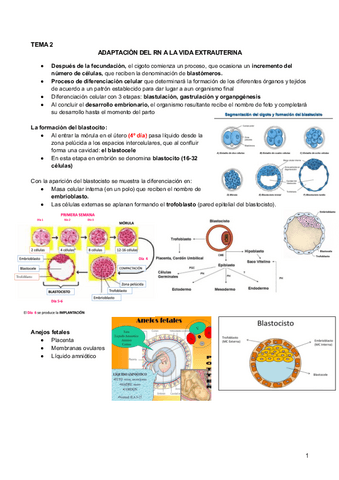 2.-Adaptacion-a-la-vida-extrauterina.pdf