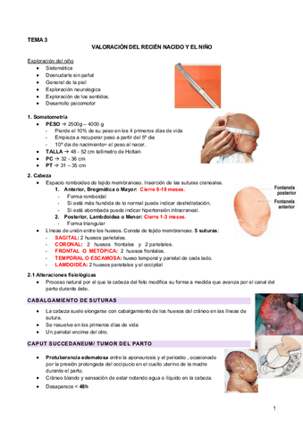 3.-Valoracion-del-recien-nacido.pdf