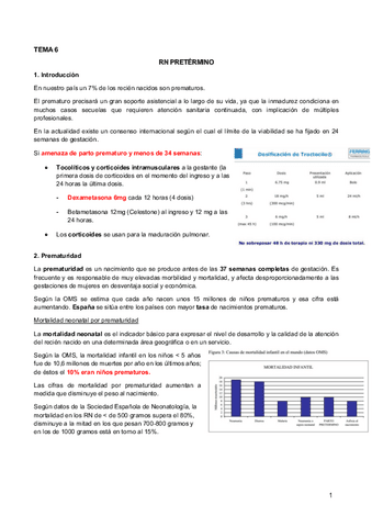 6.-RN-Pretermino.pdf